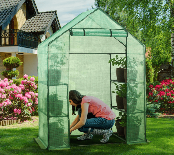 walk-in garden greenhouse in backyard with women kneeling inside