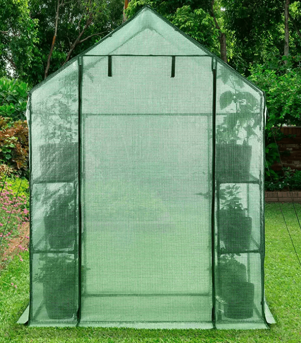 rear view of walk-in greenhouse in backyard