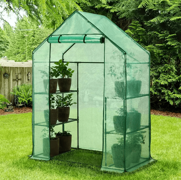 walk-in garden greenhouse with pots inside in backyard