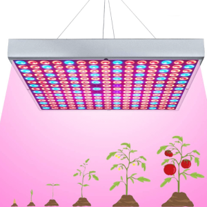 Led indoor grow light cartoon showing four stages of plant growth on white background