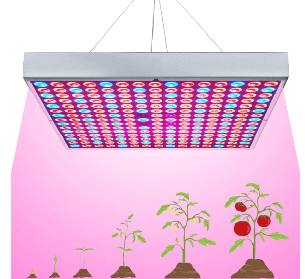 Led indoor grow light cartoon showing four stages of plant growth on white background