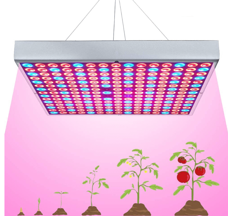 Led indoor grow light cartoon showing four stages of plant growth on white background