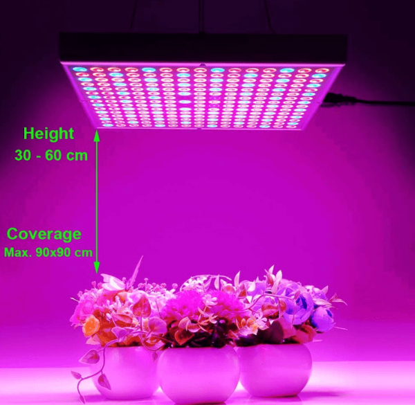 indoor grow light with pruple LED on pot flowers