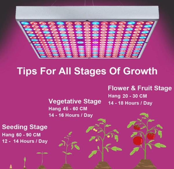 led indoor plant light cartoon showing four stages of plant growth