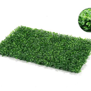 single boxwood hedge mat on white background with close-up in top right