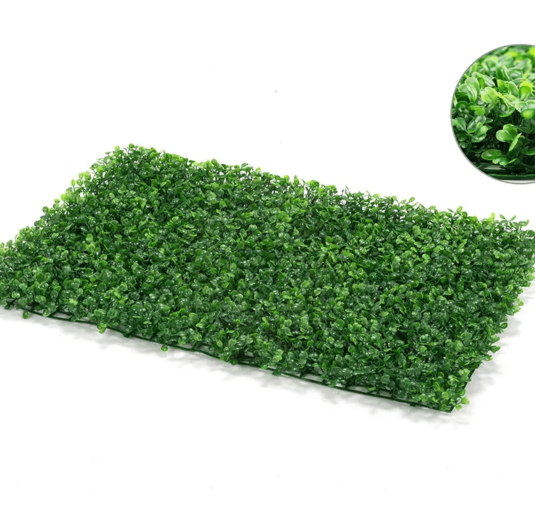 single boxwood hedge mat on white background with close-up in top right