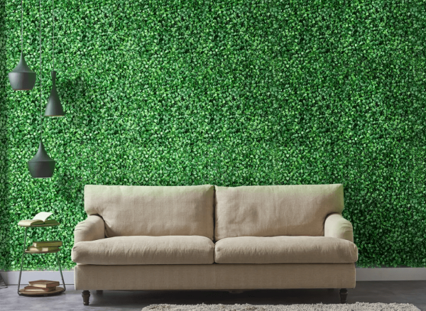 boxwood hedge mat on wall with beige couch in front