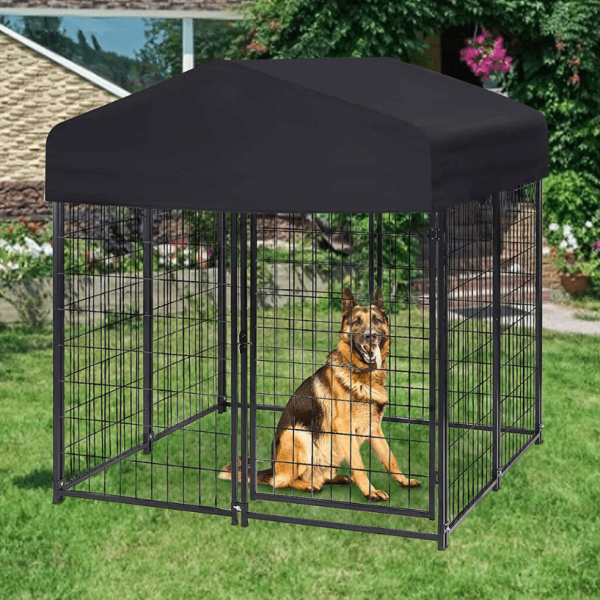 large outdoor dog kennel with german shepherd sitting inside