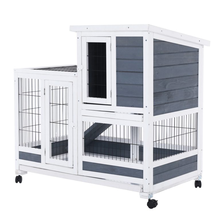 rabbit hutch on wheels with white background